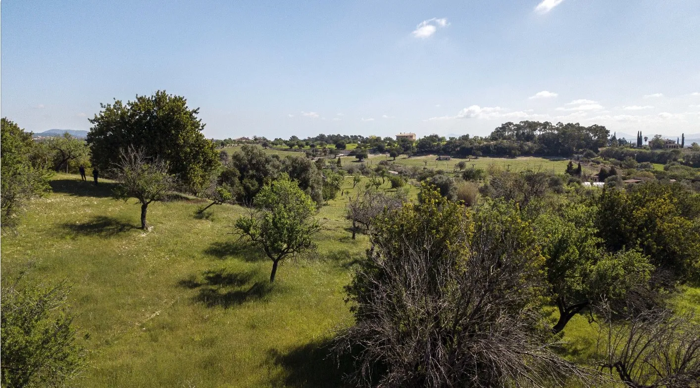 Prachtige nieuwbouw met uitzicht in Selva-9