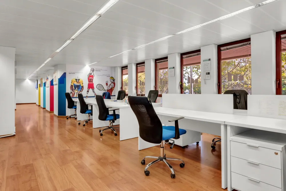 Bright office in the heart of Palma-2