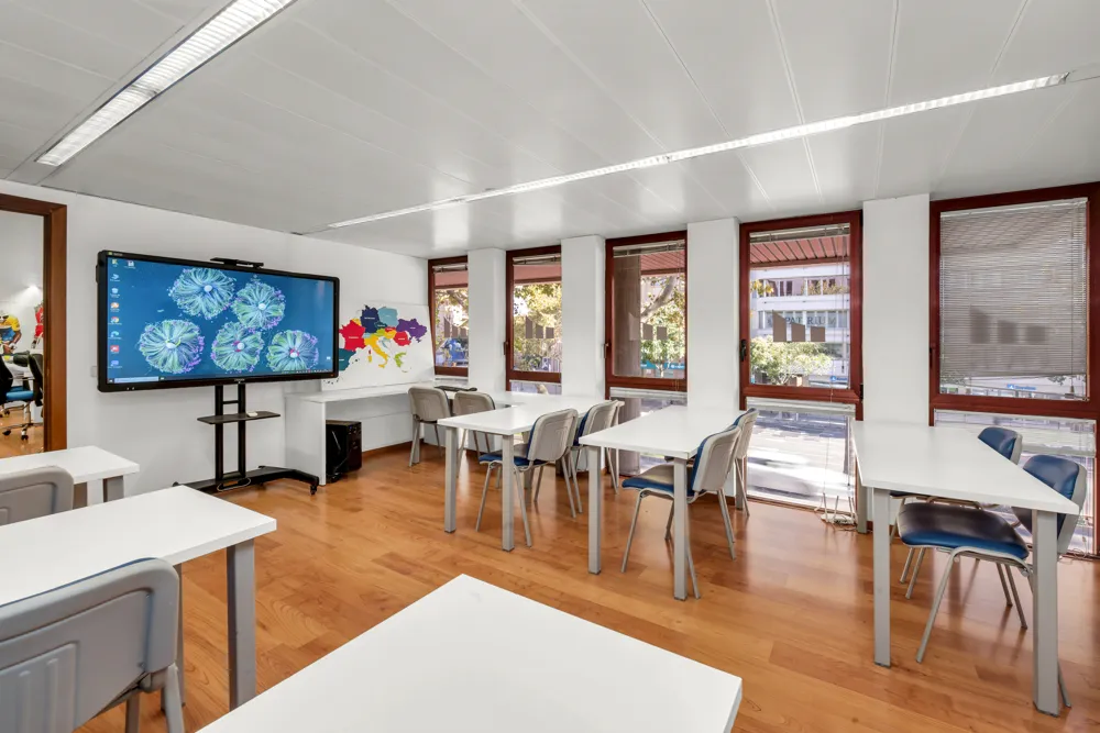 Bright office in the heart of Palma-6