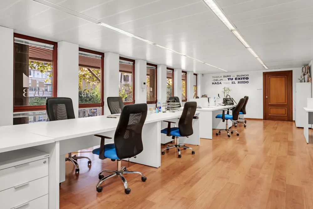 Bright office in the heart of Palma-1
