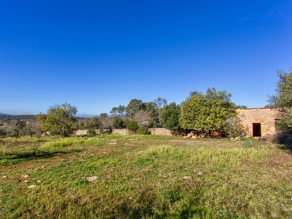 Rustic plot with beautiful views in Costitx-2