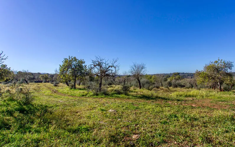 Rustic plot with beautiful views in Costitx