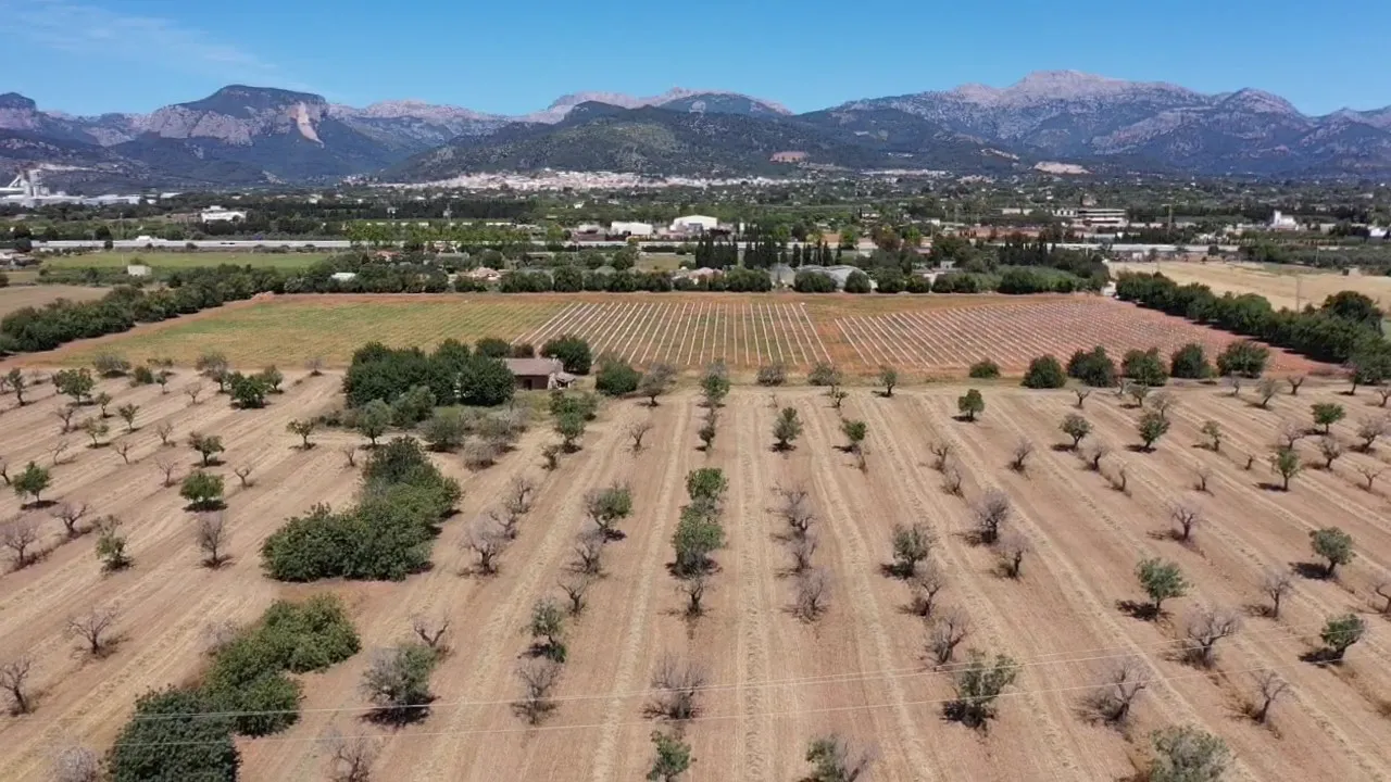 Modern nieuwbouw landhuis met wijngaarden en uitzicht op het platteland-12