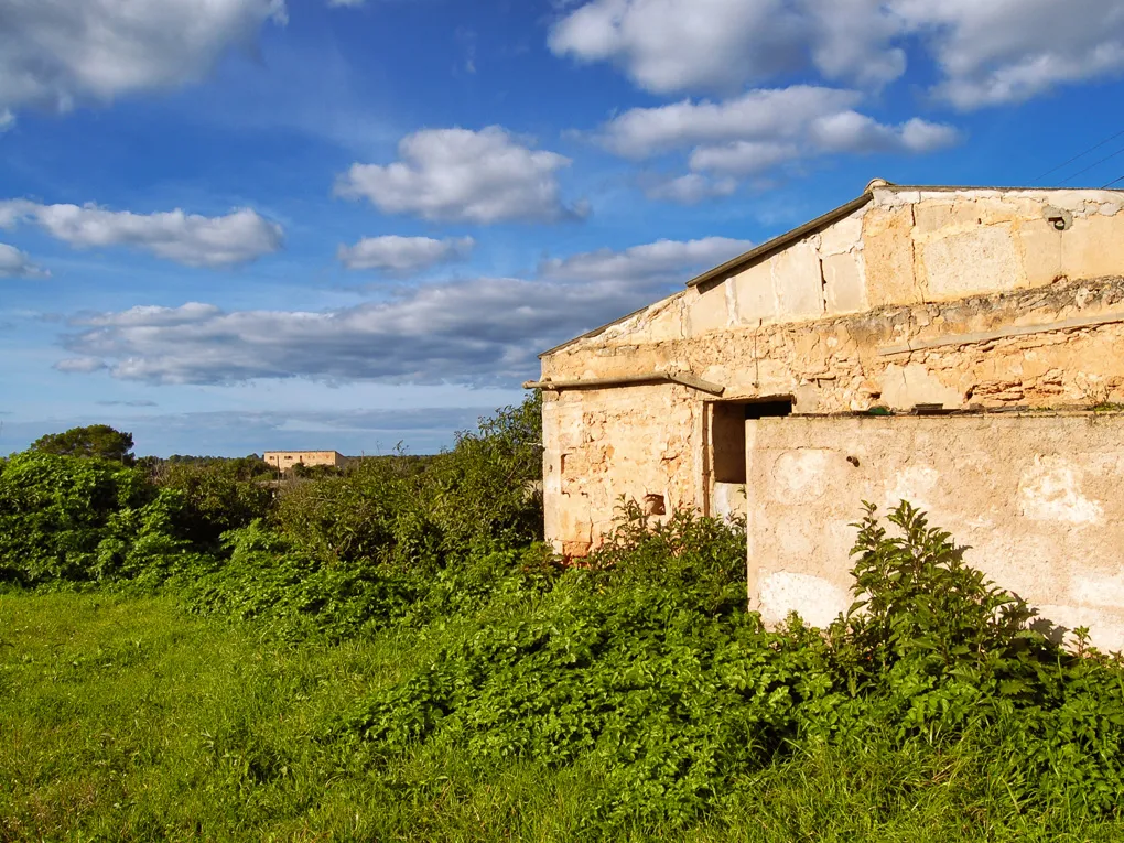 Te renoveren finca op een groot perceel in Llucmajor-6