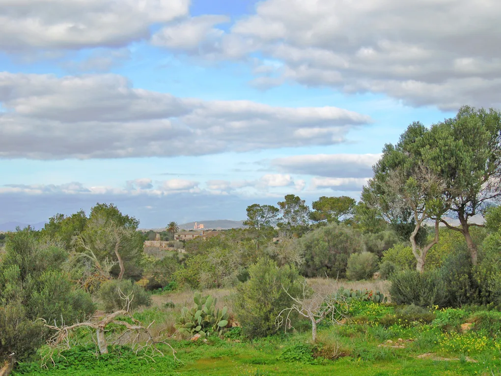 Te renoveren finca op een groot perceel in Llucmajor-2