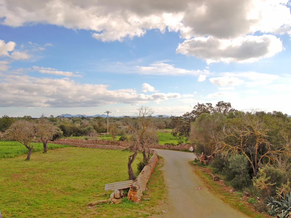 Te renoveren finca op een groot perceel in Llucmajor-7