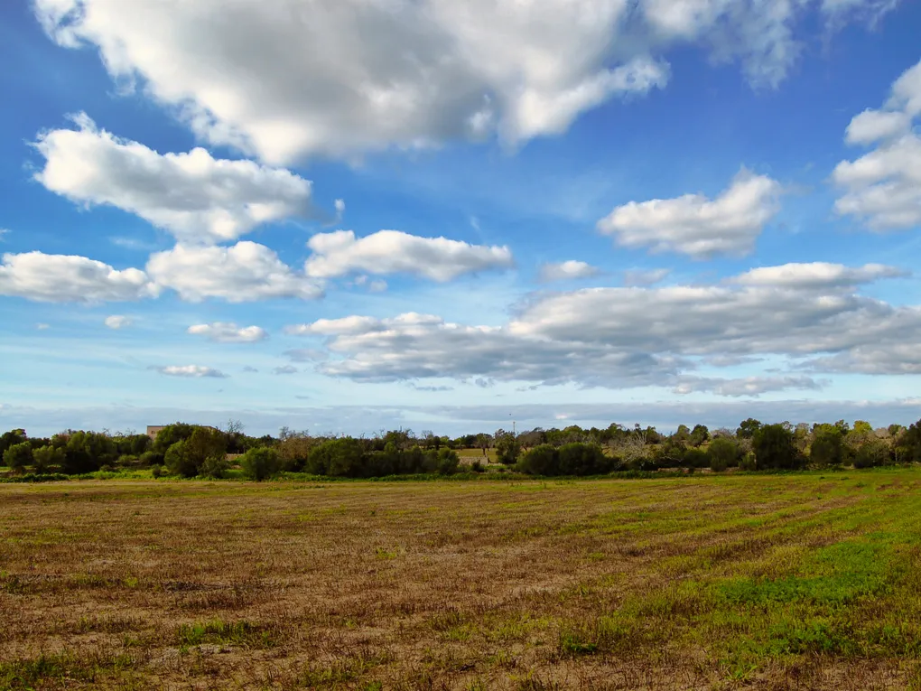 Te renoveren finca op een groot perceel in Llucmajor-8