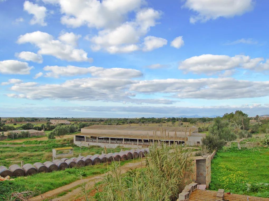 Te renoveren finca op een groot perceel in Llucmajor-3