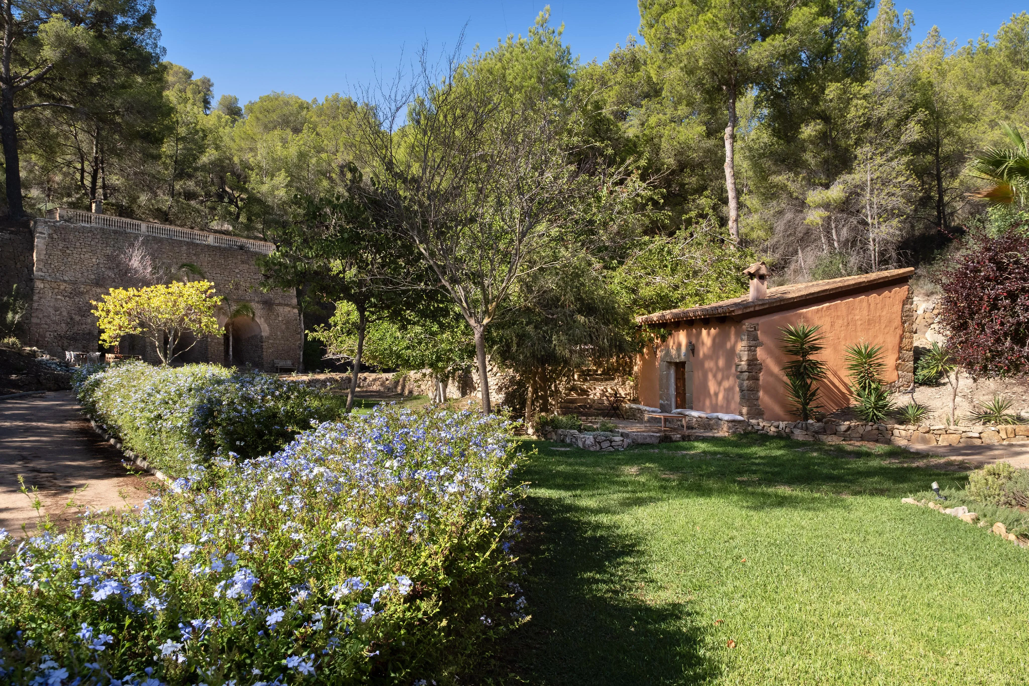 Authentic Finca with 60,000 m² of Land and ETV licence near Puerto Andratx-4