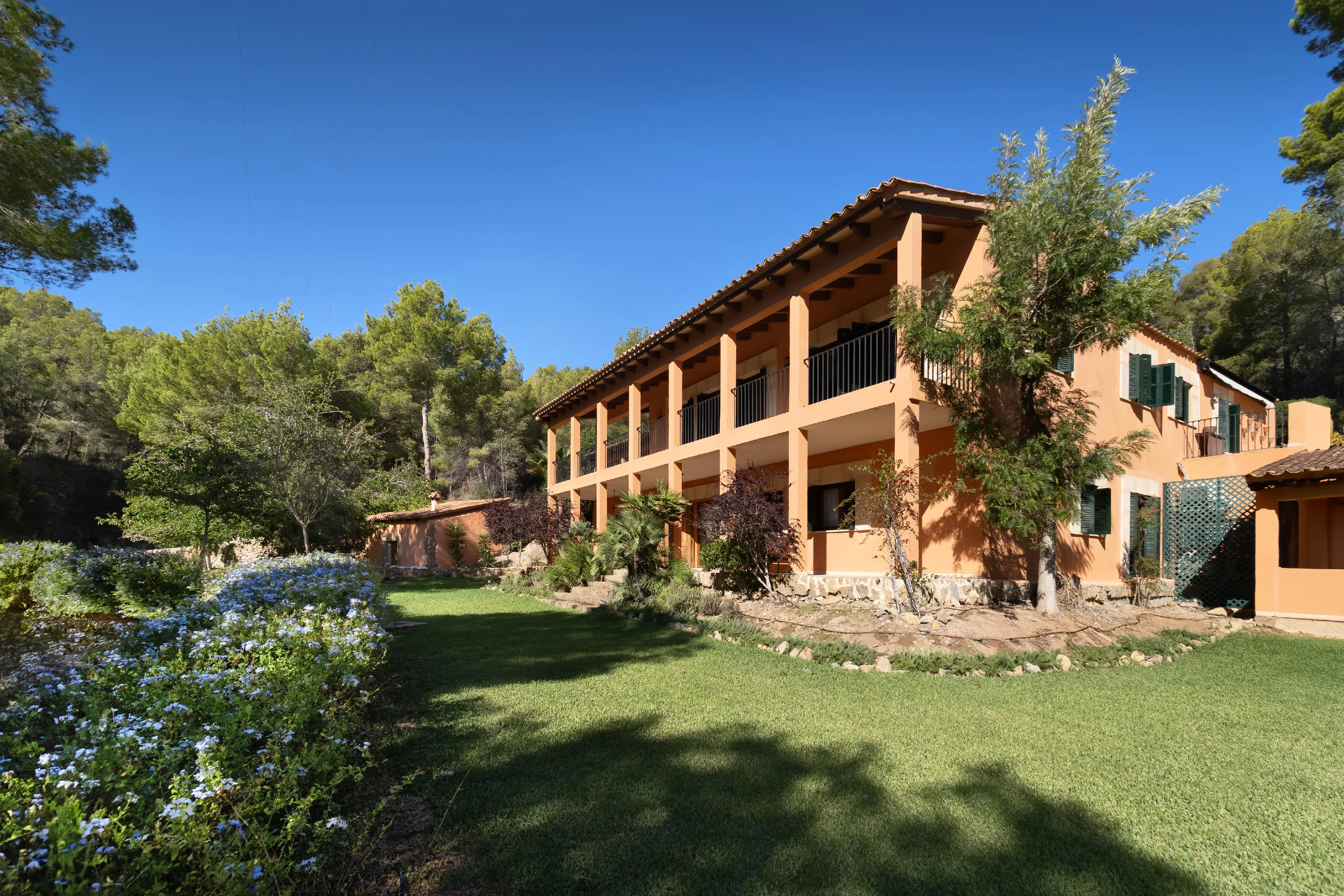 Authentic Finca with  ETV licence near Puerto Andratx-13