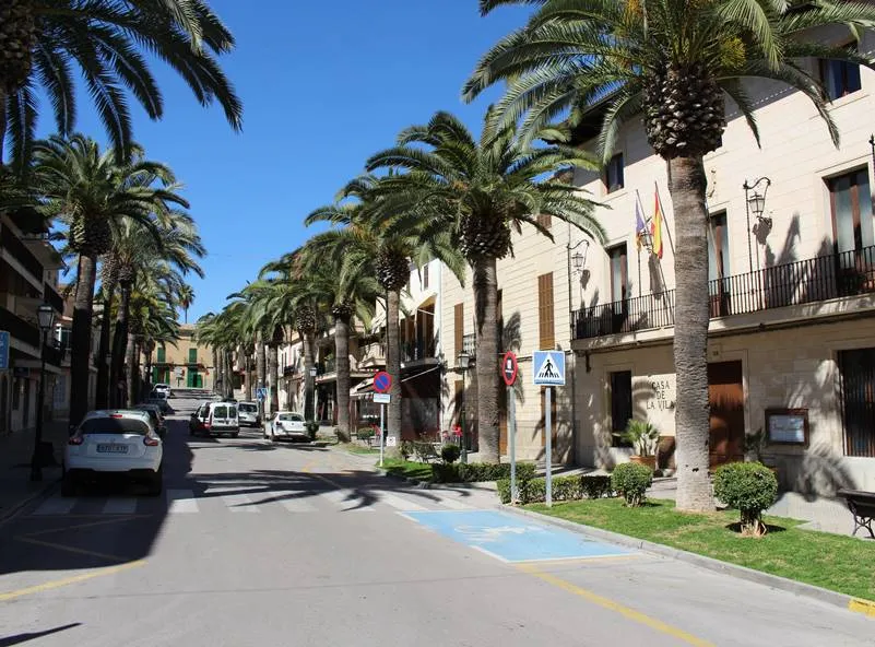 "TH Horts" Long-term rental in Santa Margalida-4