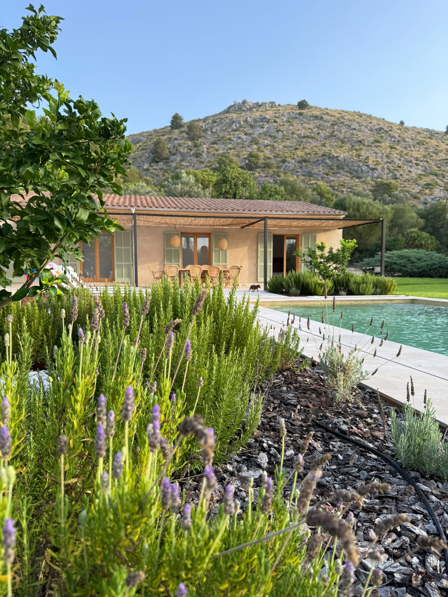 Modern country house near Puerto Pollensa-5