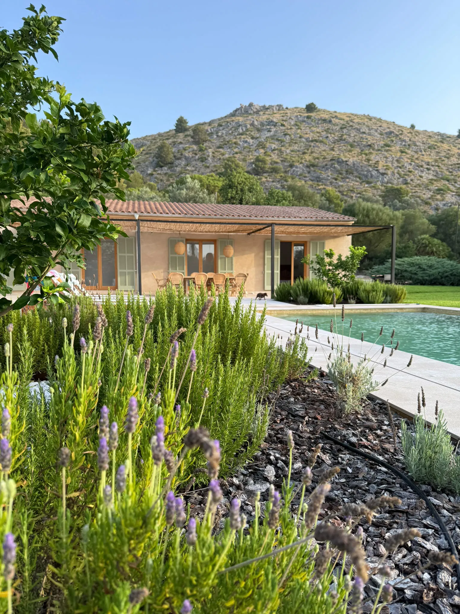 Modern country house near Puerto Pollensa-5