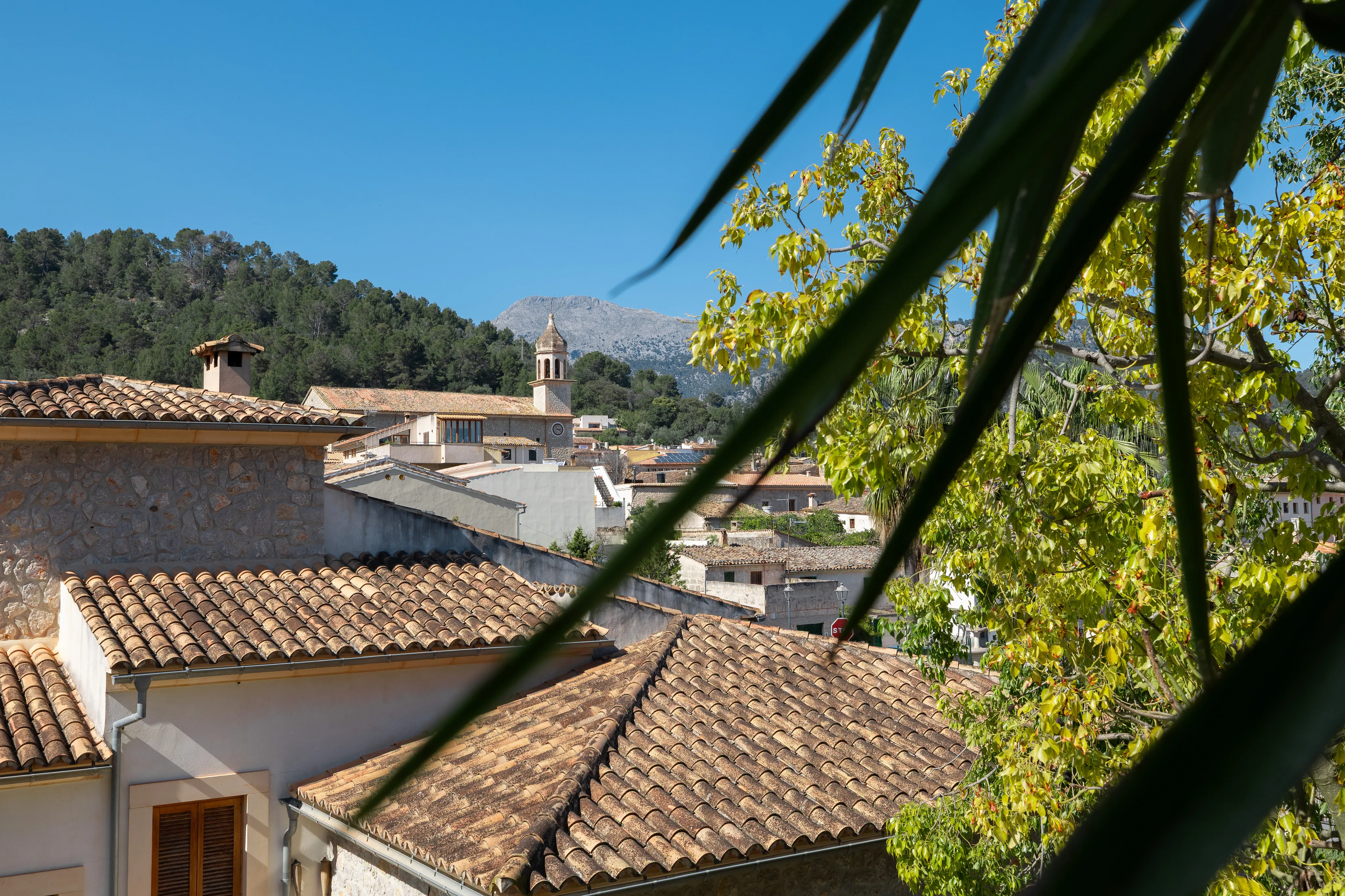 Detached house with ETV license in beautiful surroundings-19