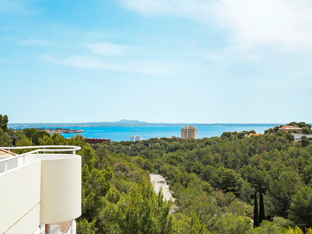 Penthouse with nice views-14