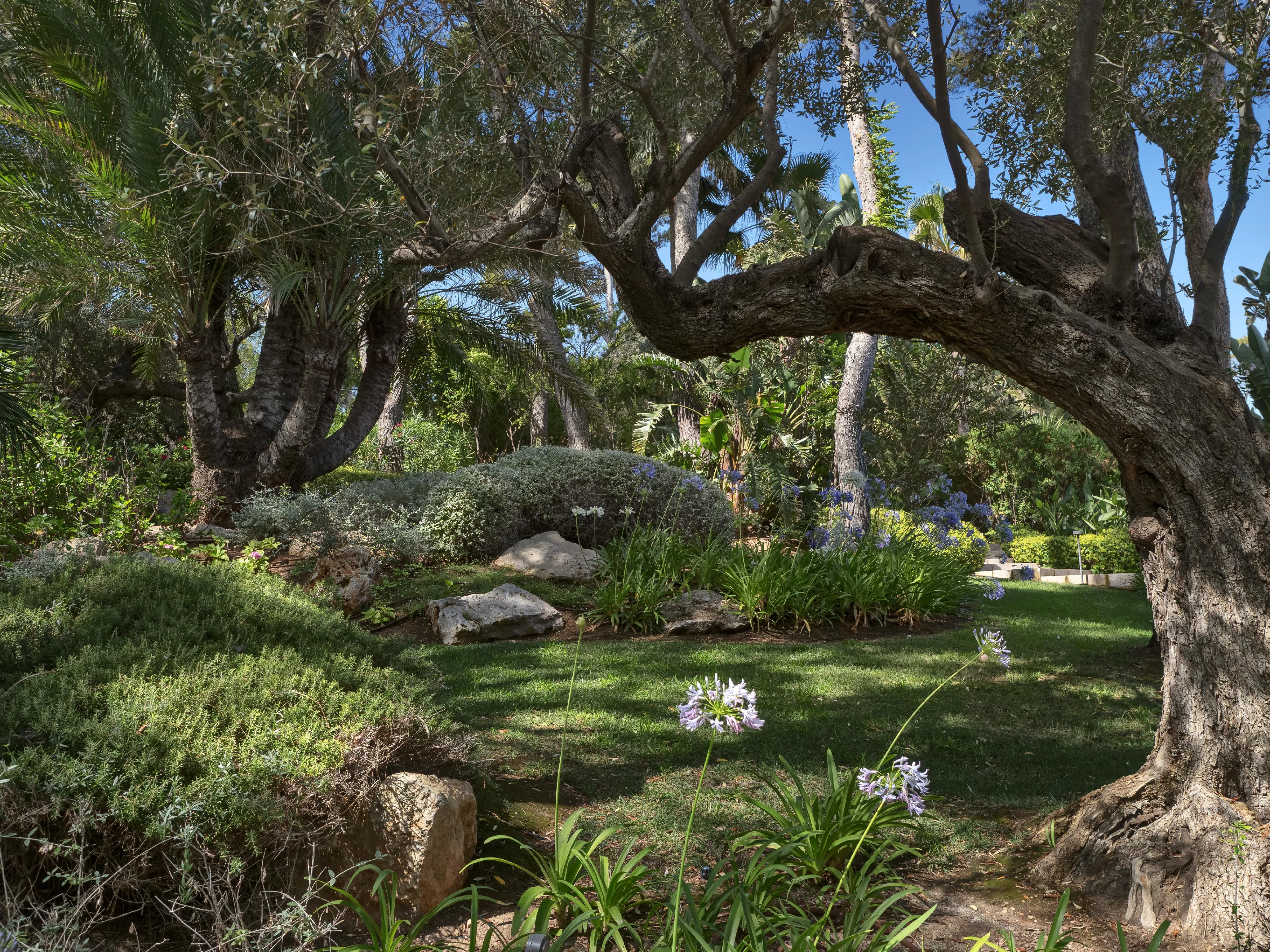 Propiedad única con acceso directo al mar y pista de tenis en Port Andratx-19