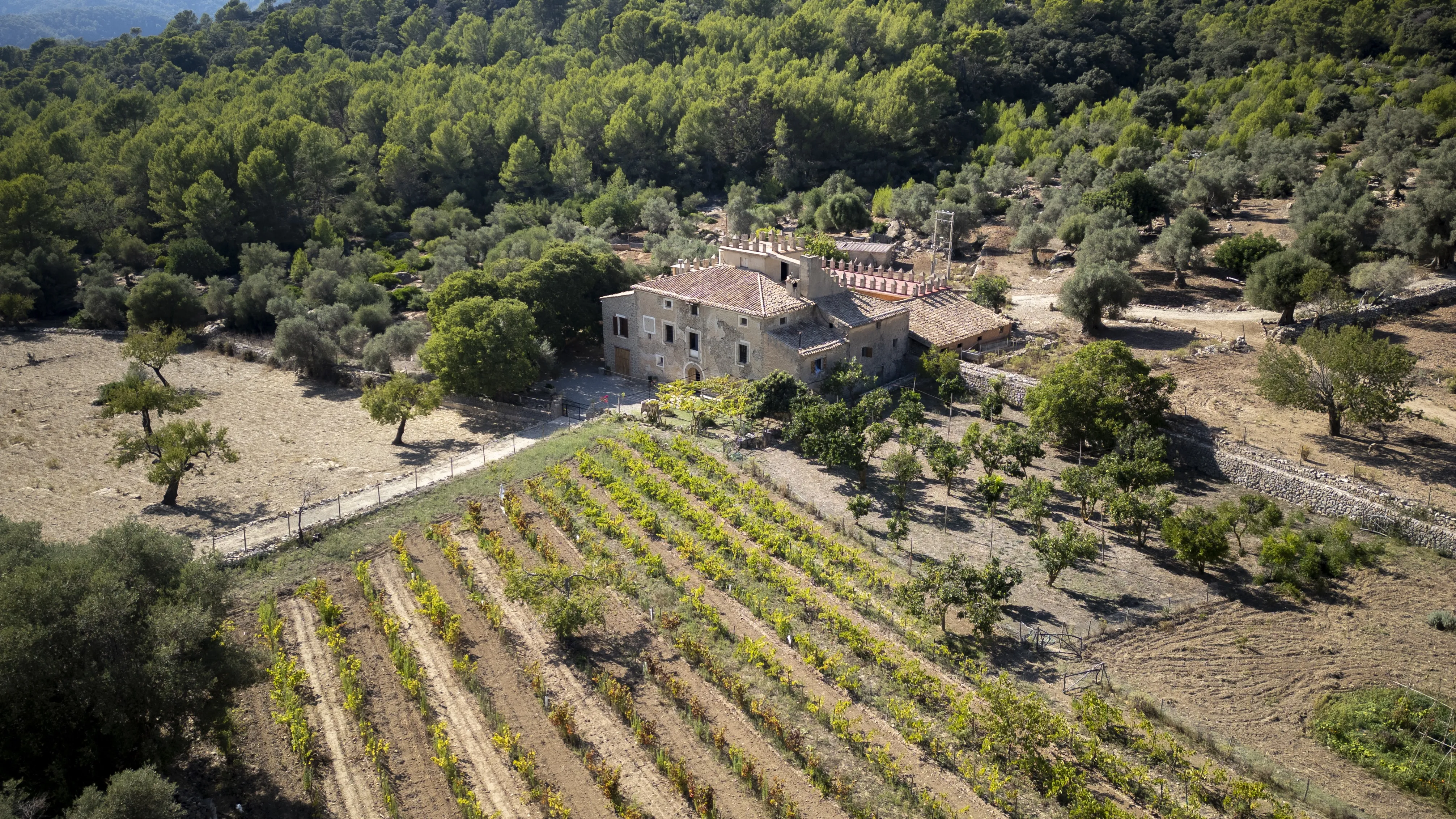 Magnificent 18th century finca in Puigpunyent-17