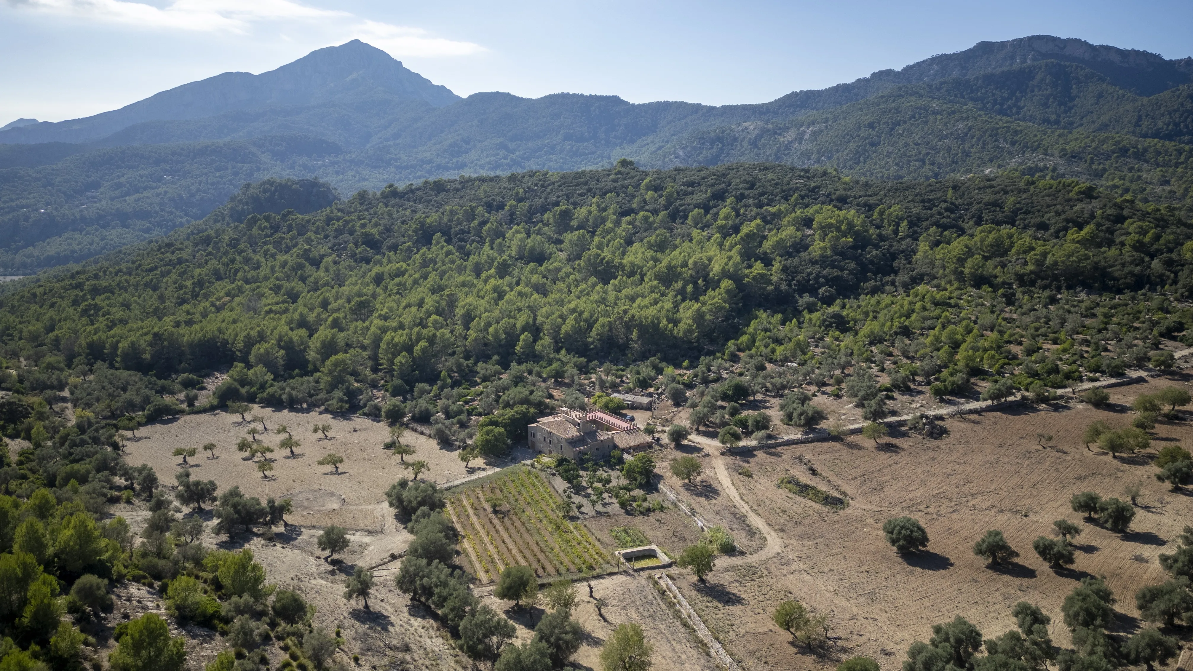 Magnificent 18th century finca in Puigpunyent-1