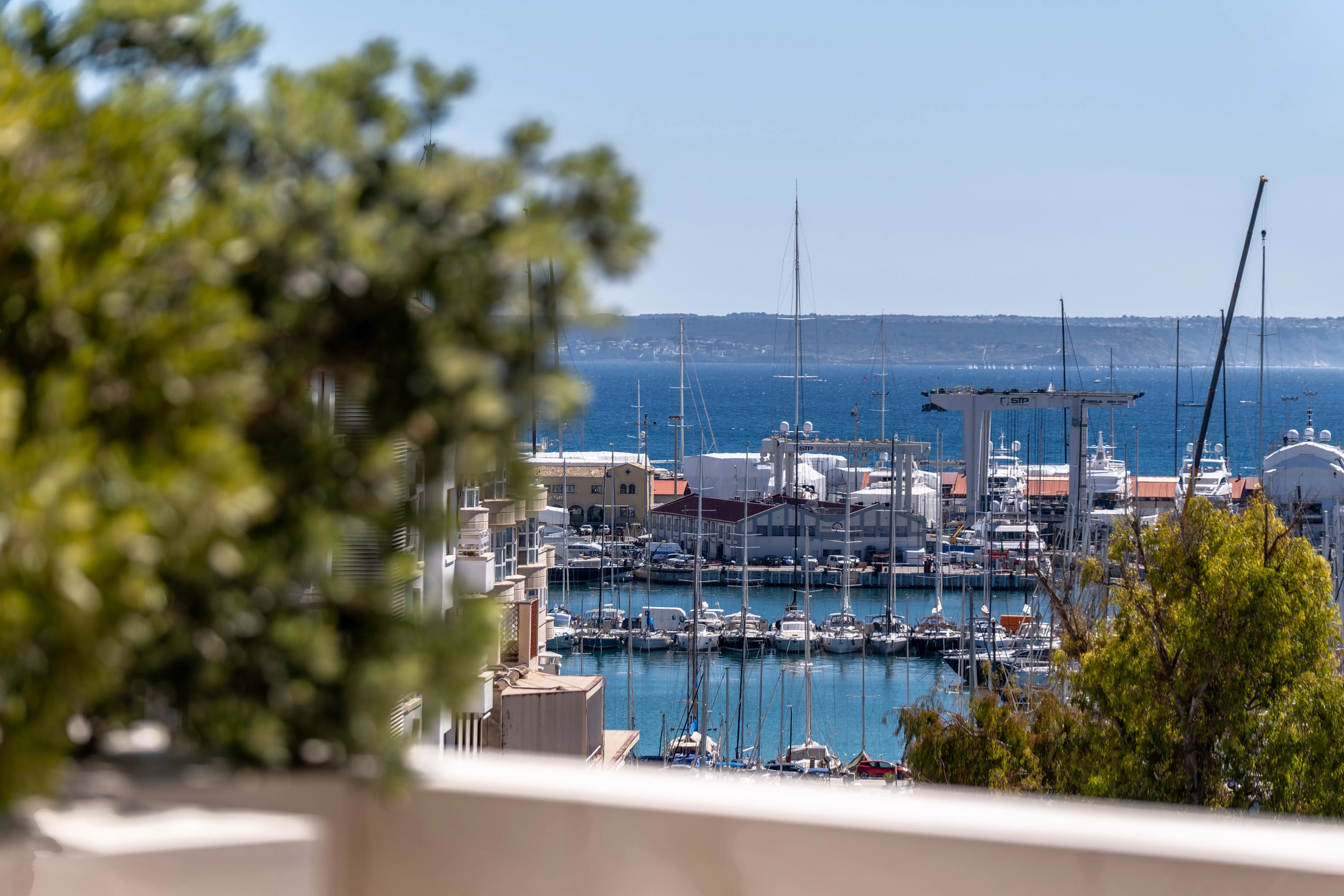 Exceptionnel penthouse de construction récente dans le centre de Palma-12