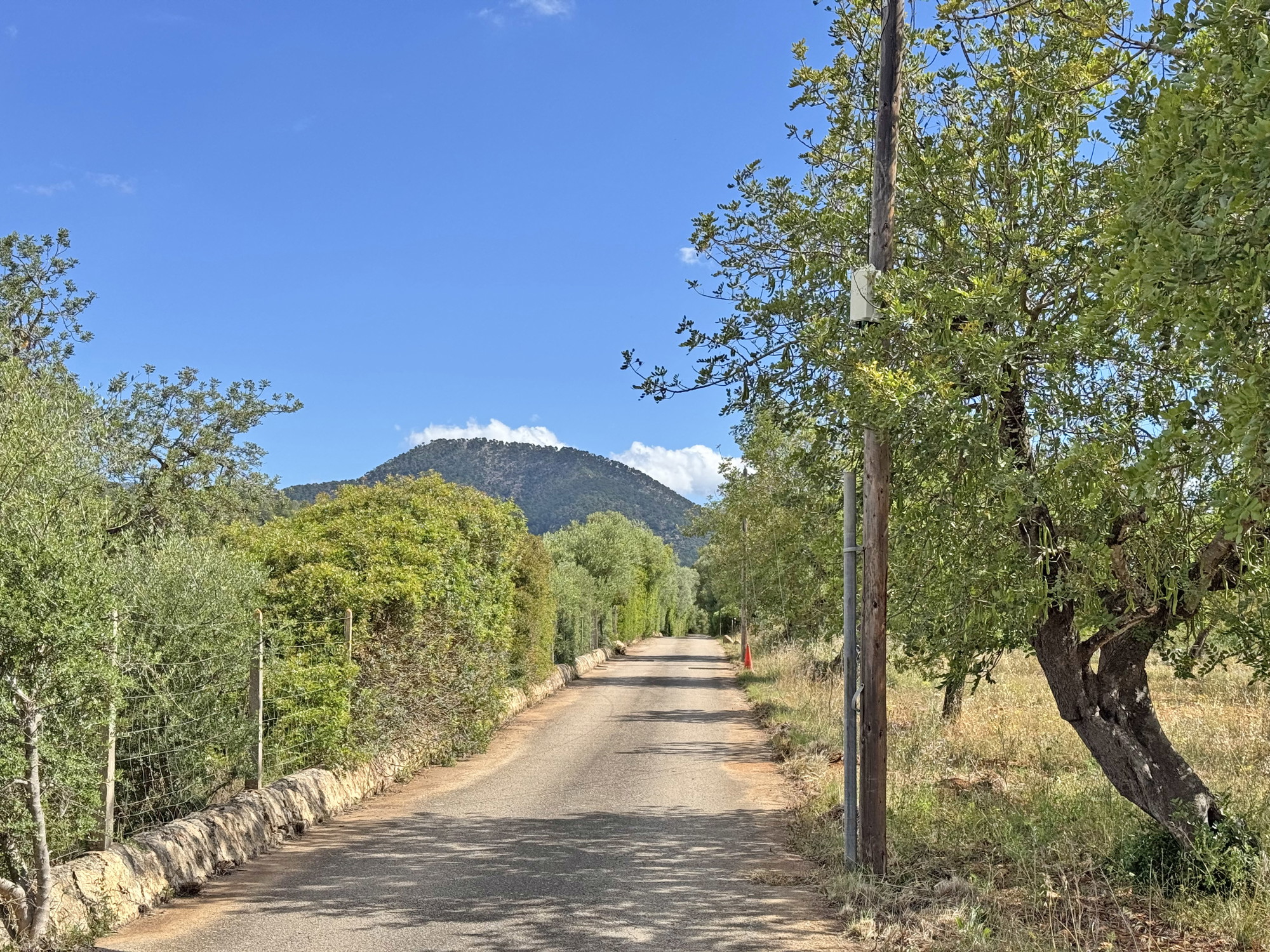 Building plot in prime location, Santa María del Camí-8