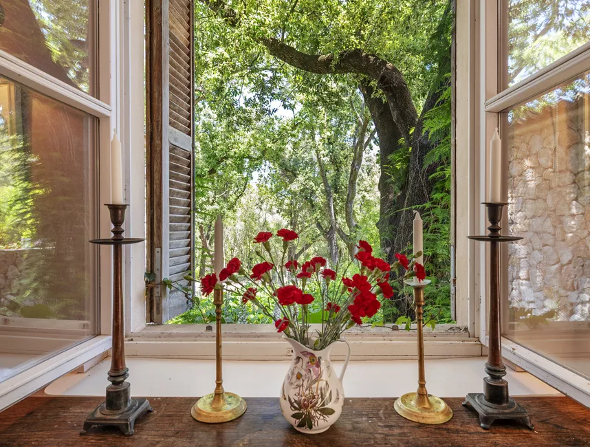 "CA'N GATULES" case vacanze a Pollensa-15