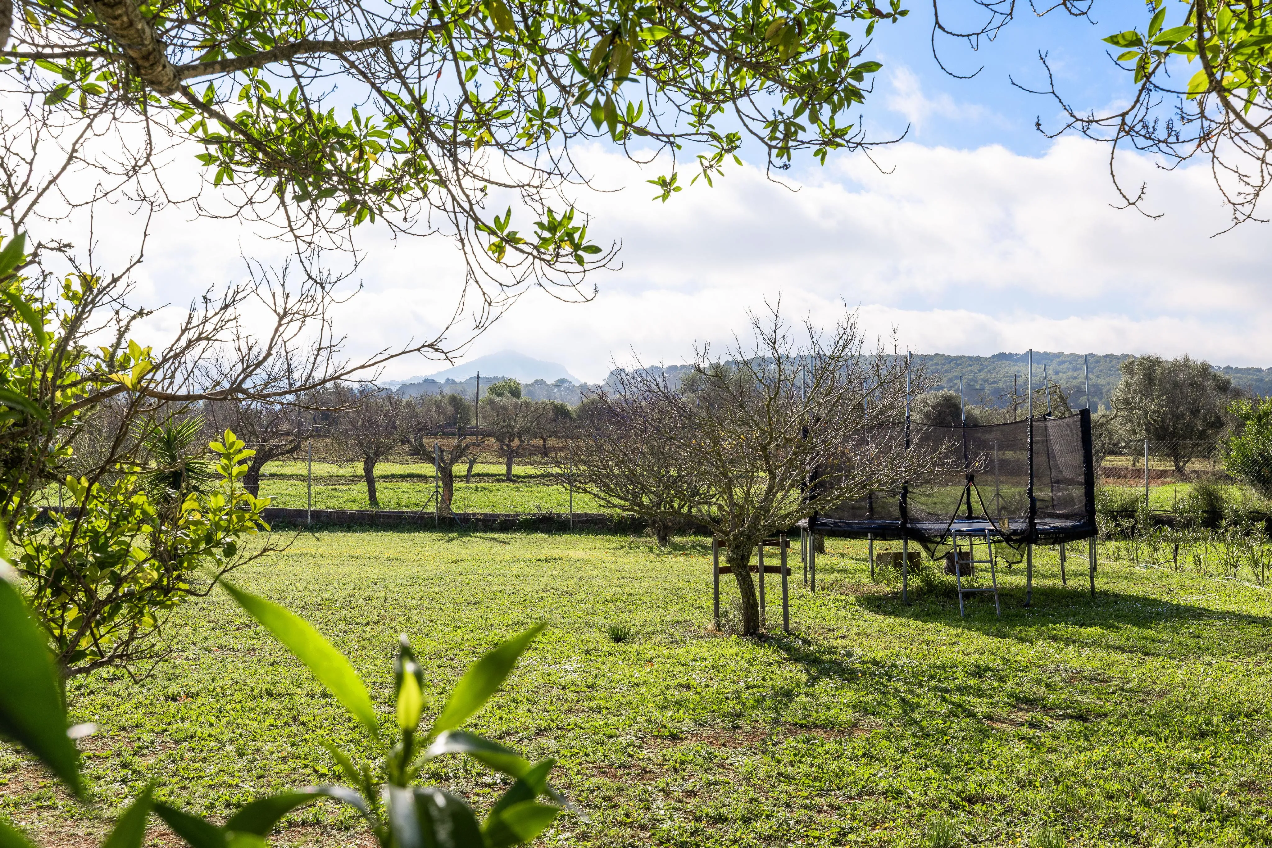 Charaktervolle Finca-Idylle mit moderner Ausstattung und Pool-5