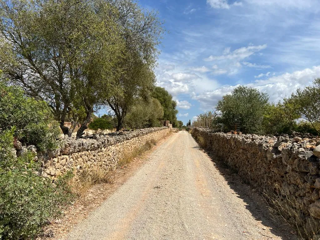 Magnifique terrain à Portol-4