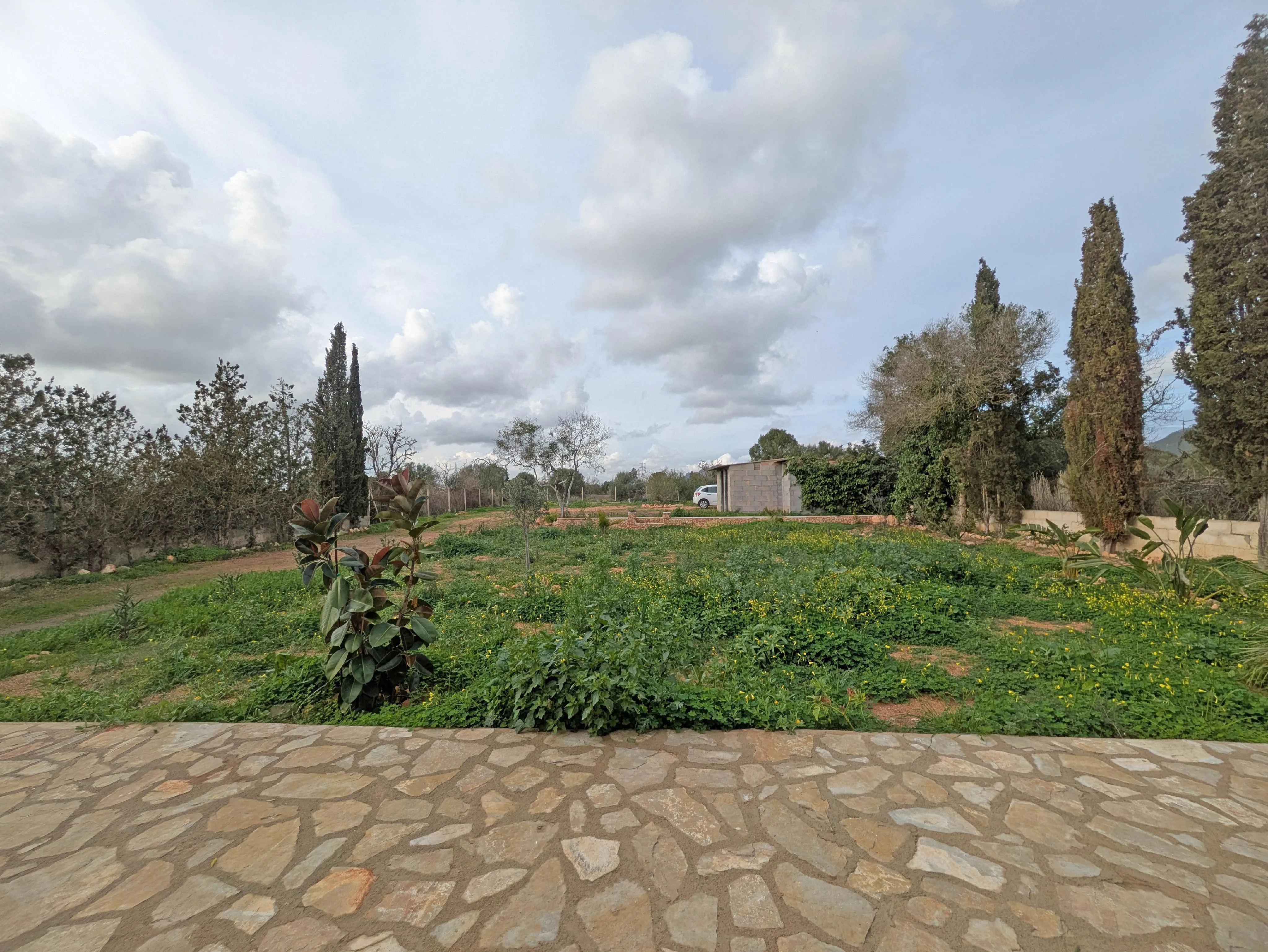 Landgut "Solymar"-15