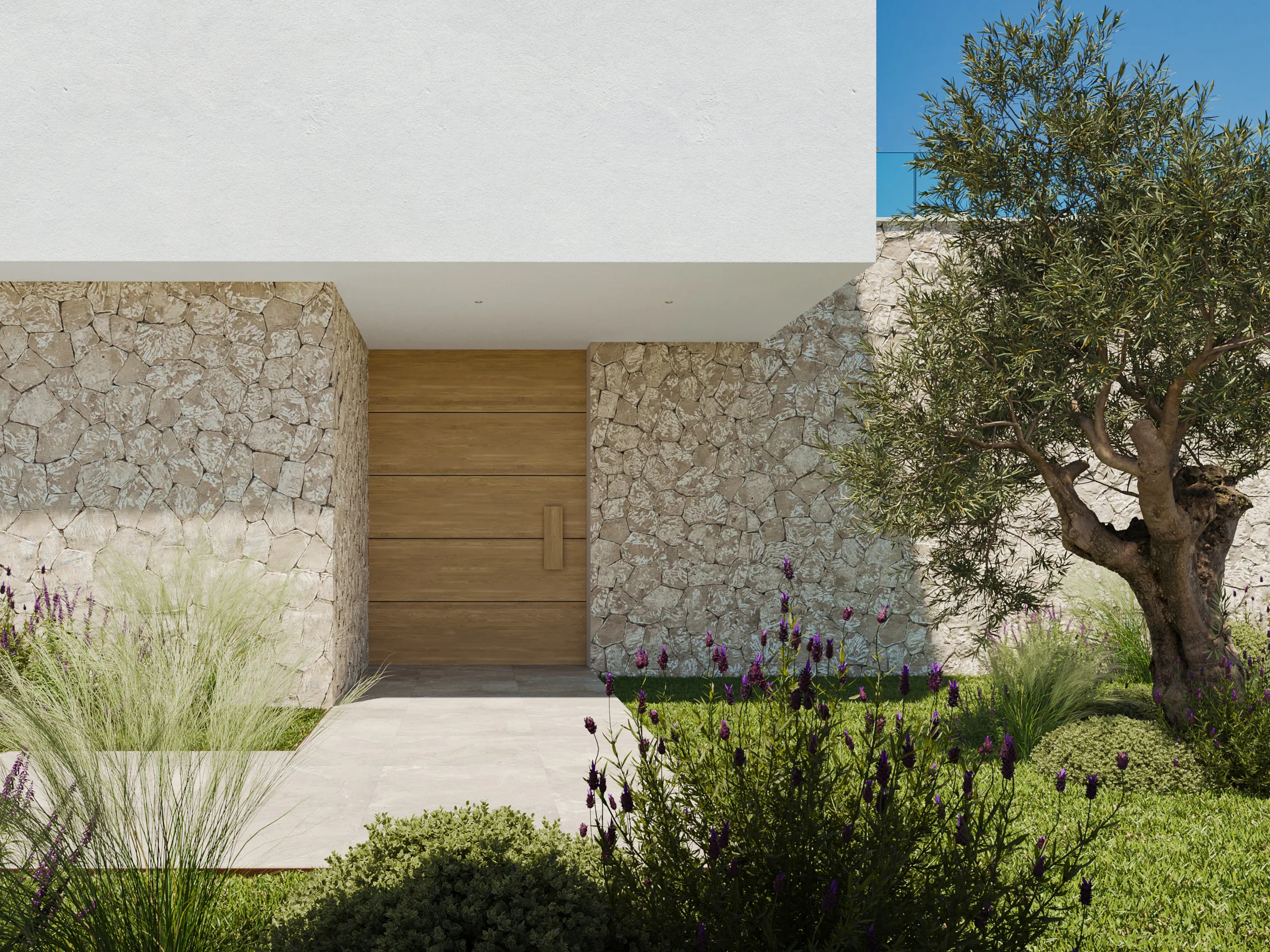 Vila moderna de nova construcció amb jardí pla i piscina-4