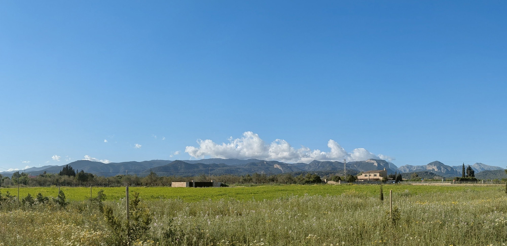 Terrain à bâtir attrayant près de Santa Maria del Camí