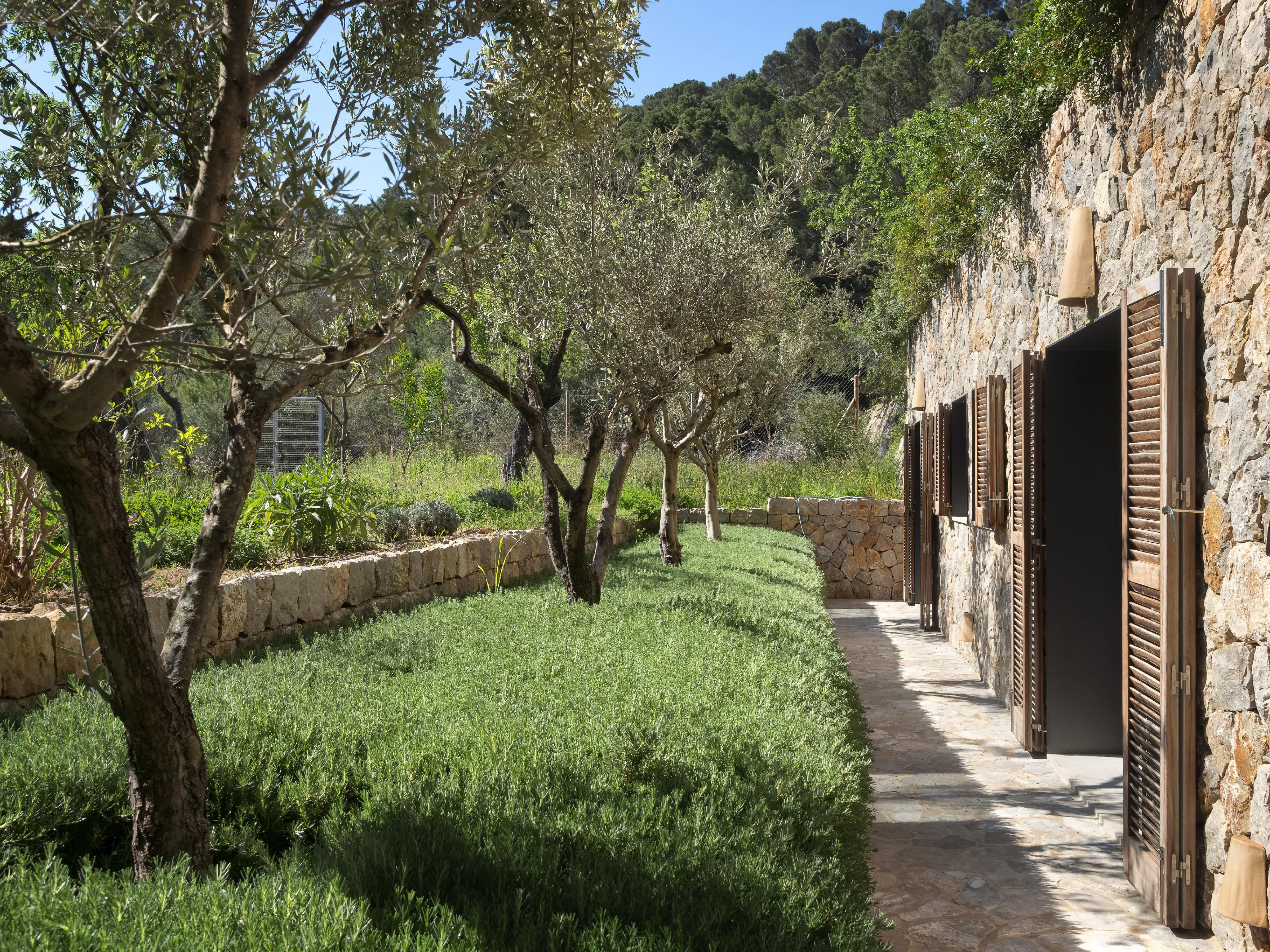 Finca de rêve avec intimité et grand jardin dans un endroit calme-30