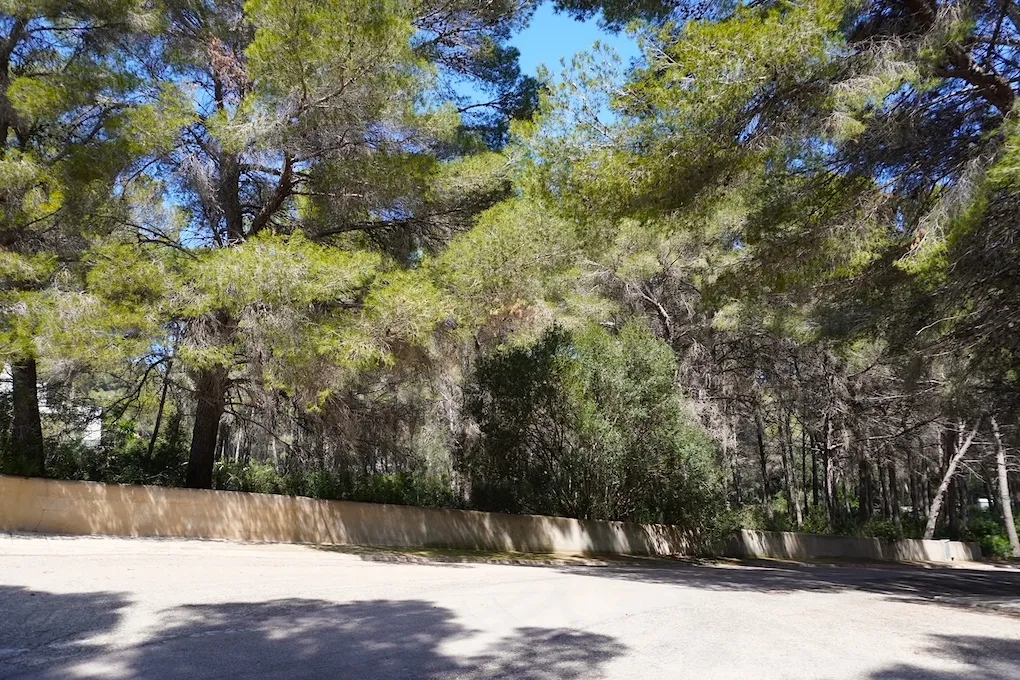Parcela con licencia de obra y proyecto para una villa-2