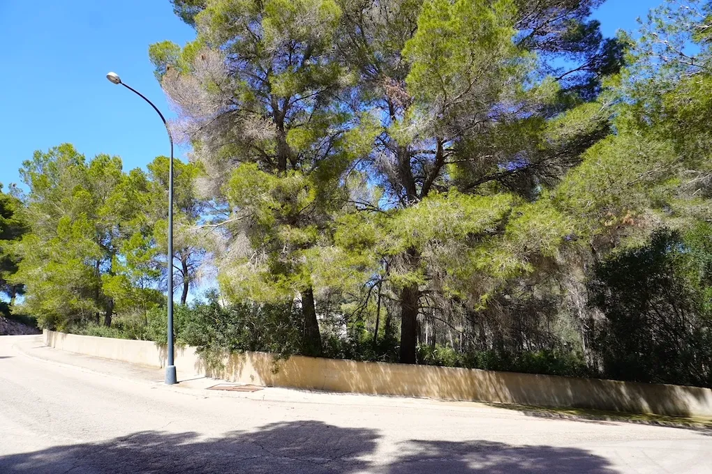 Parcela con licencia de obra y proyecto para una villa-9