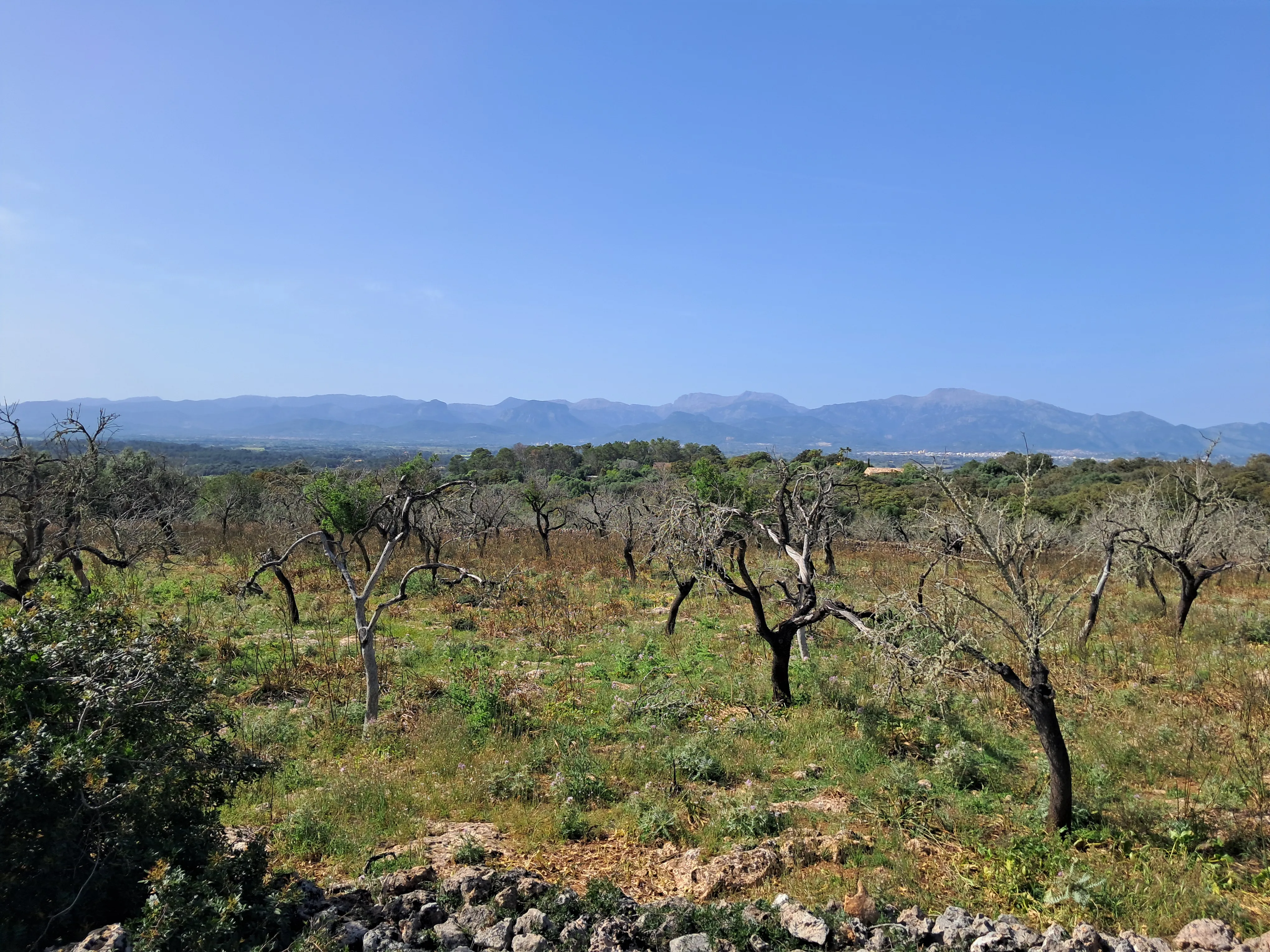 Finca récemment construite avec vue panoramique sur les montagnes de Tramuntana - en cours d'achèvement-12