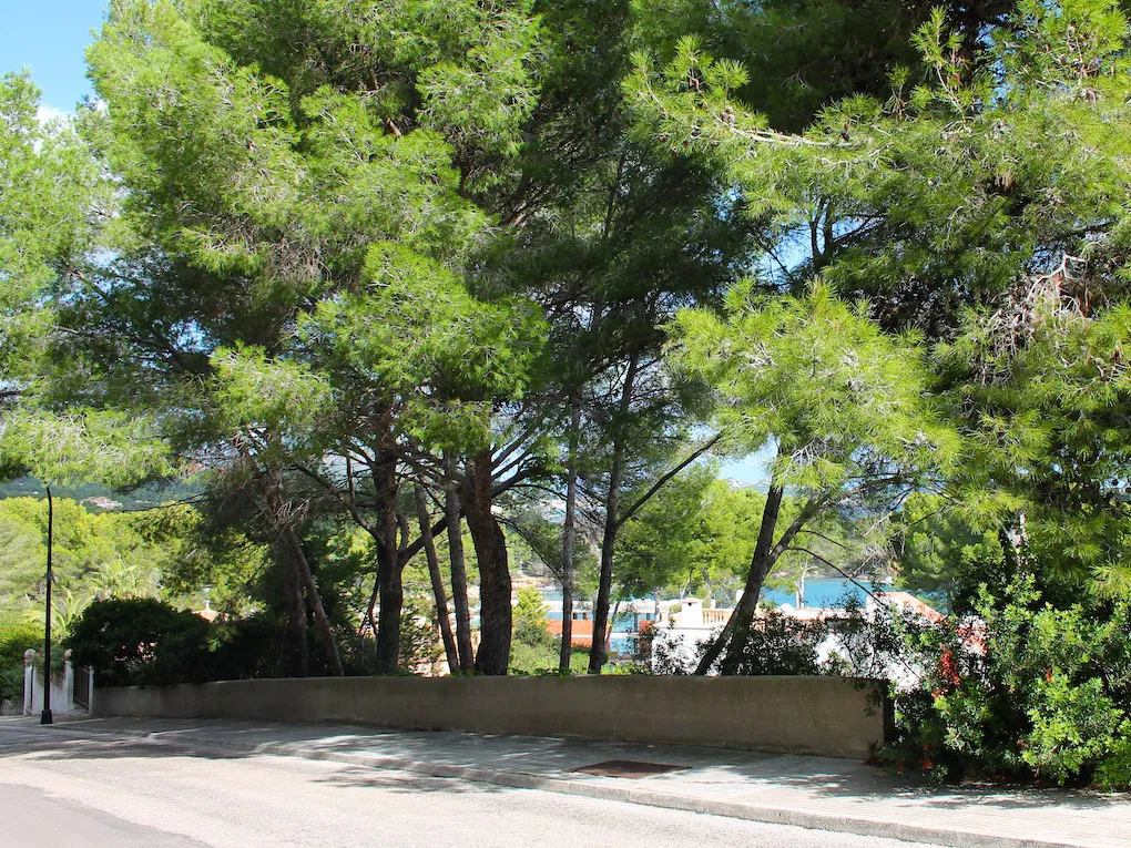 Plot with building project of a modern villa-3