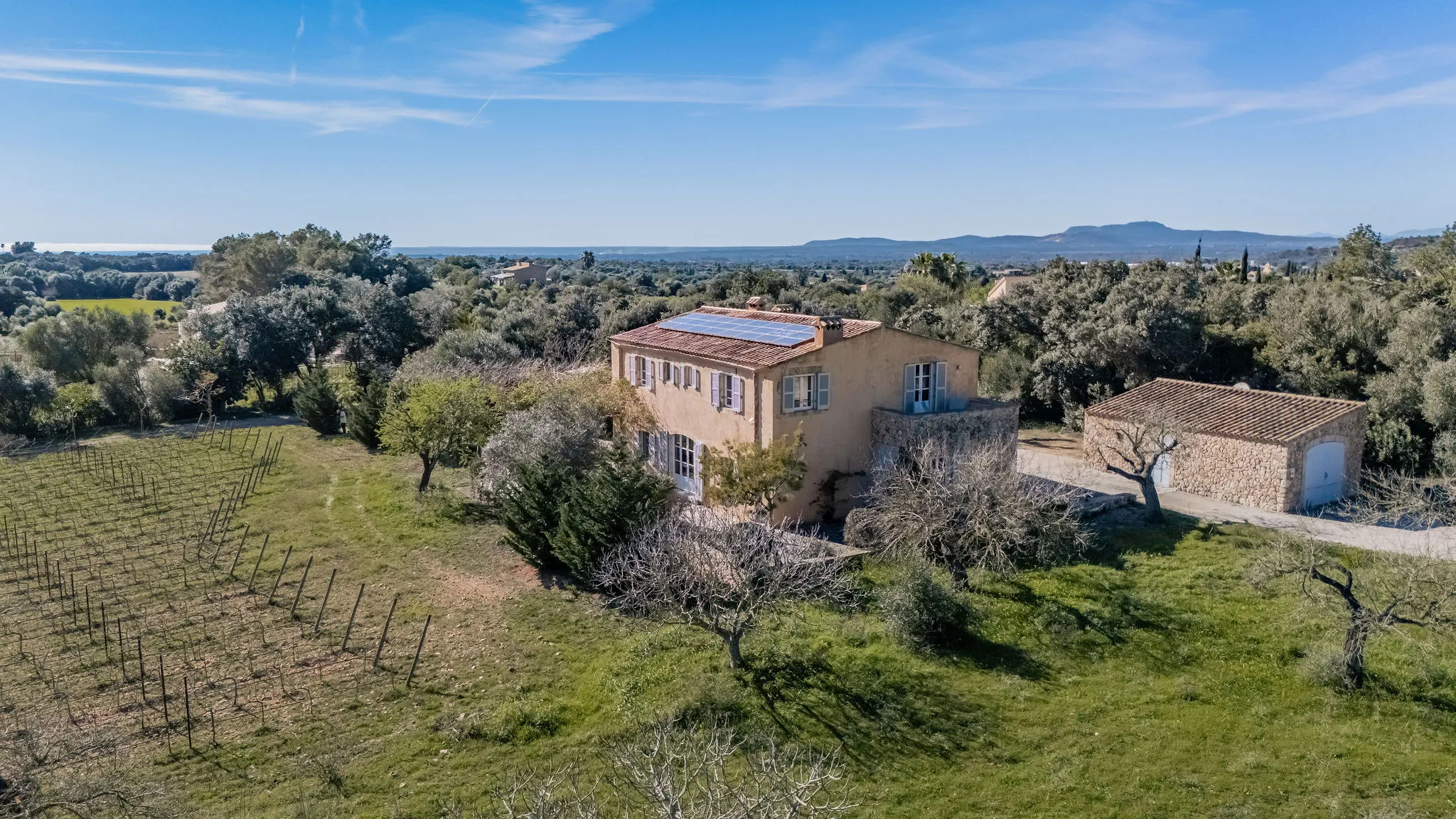 Finca mediterránea con viñedo, piscina y vistas al San Salvador-14