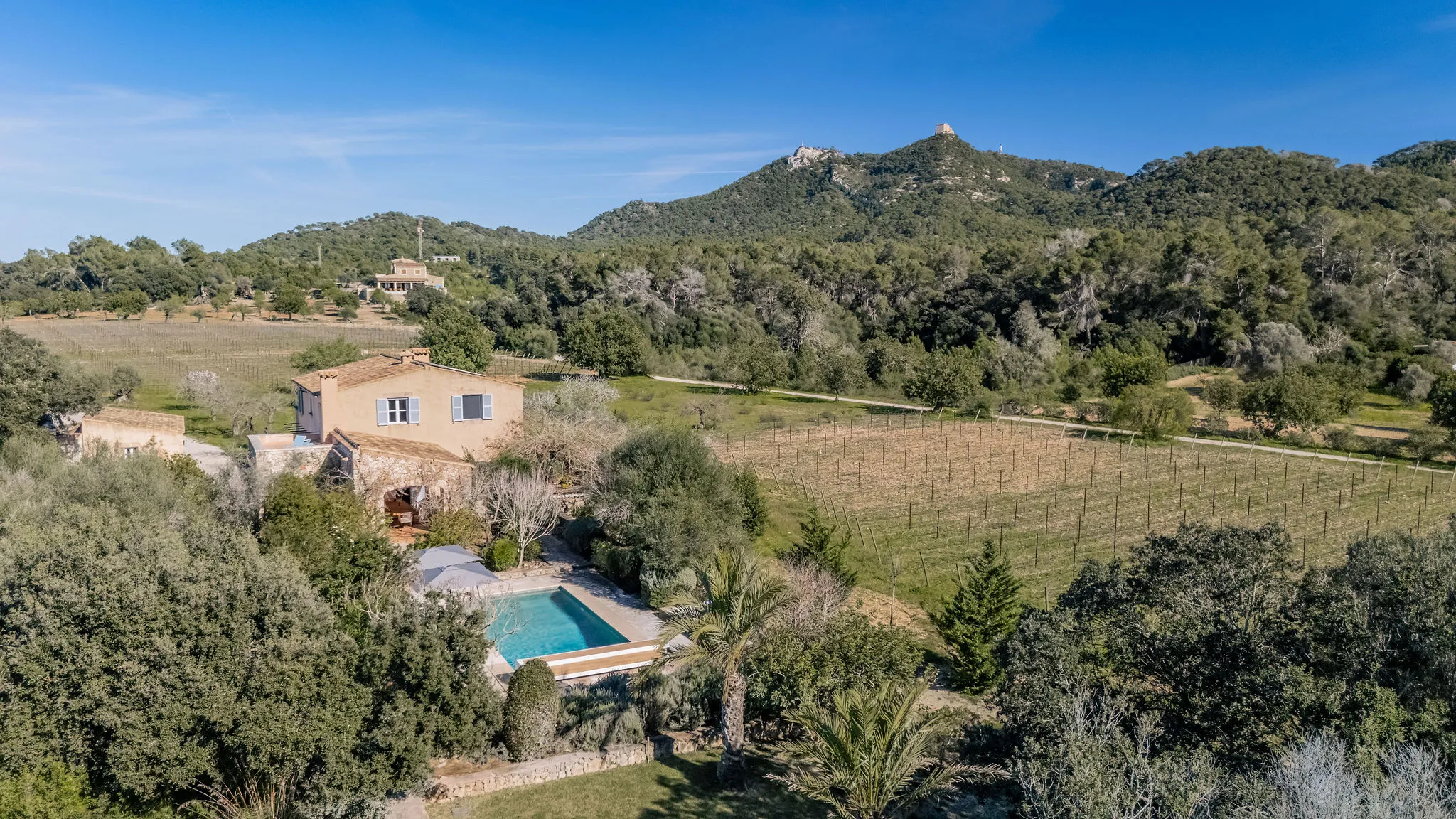 Mediterranean finca with vineyard, pool and views of San Salvador-1