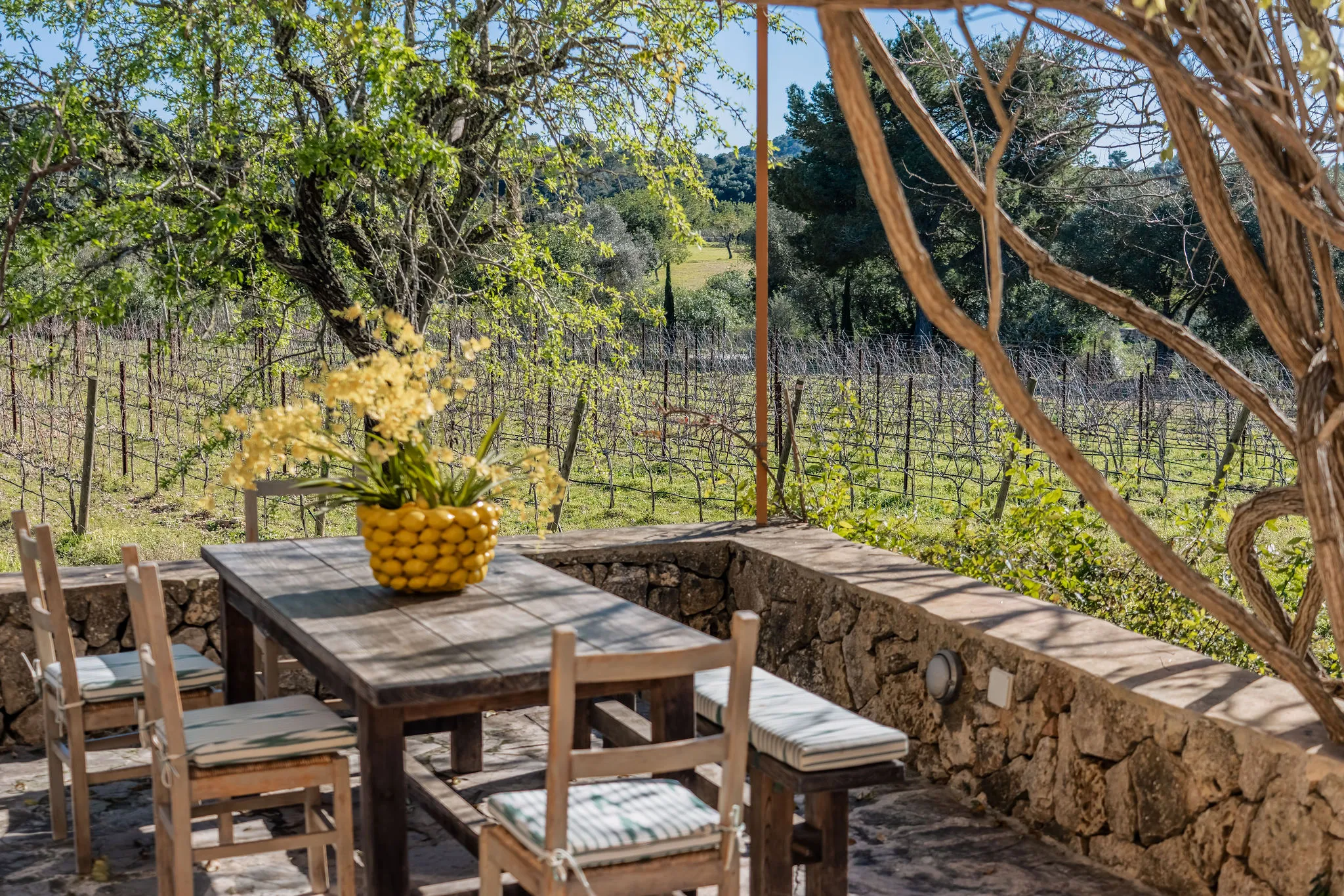 Finca mediterránea con viñedo, piscina y vistas al San Salvador-13