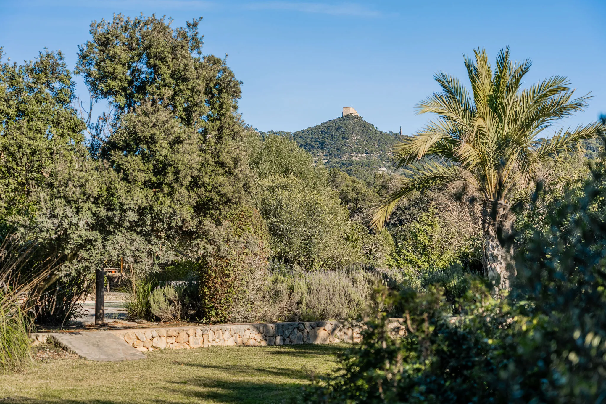 Mediterranean finca with vineyard, pool and views of San Salvador-12