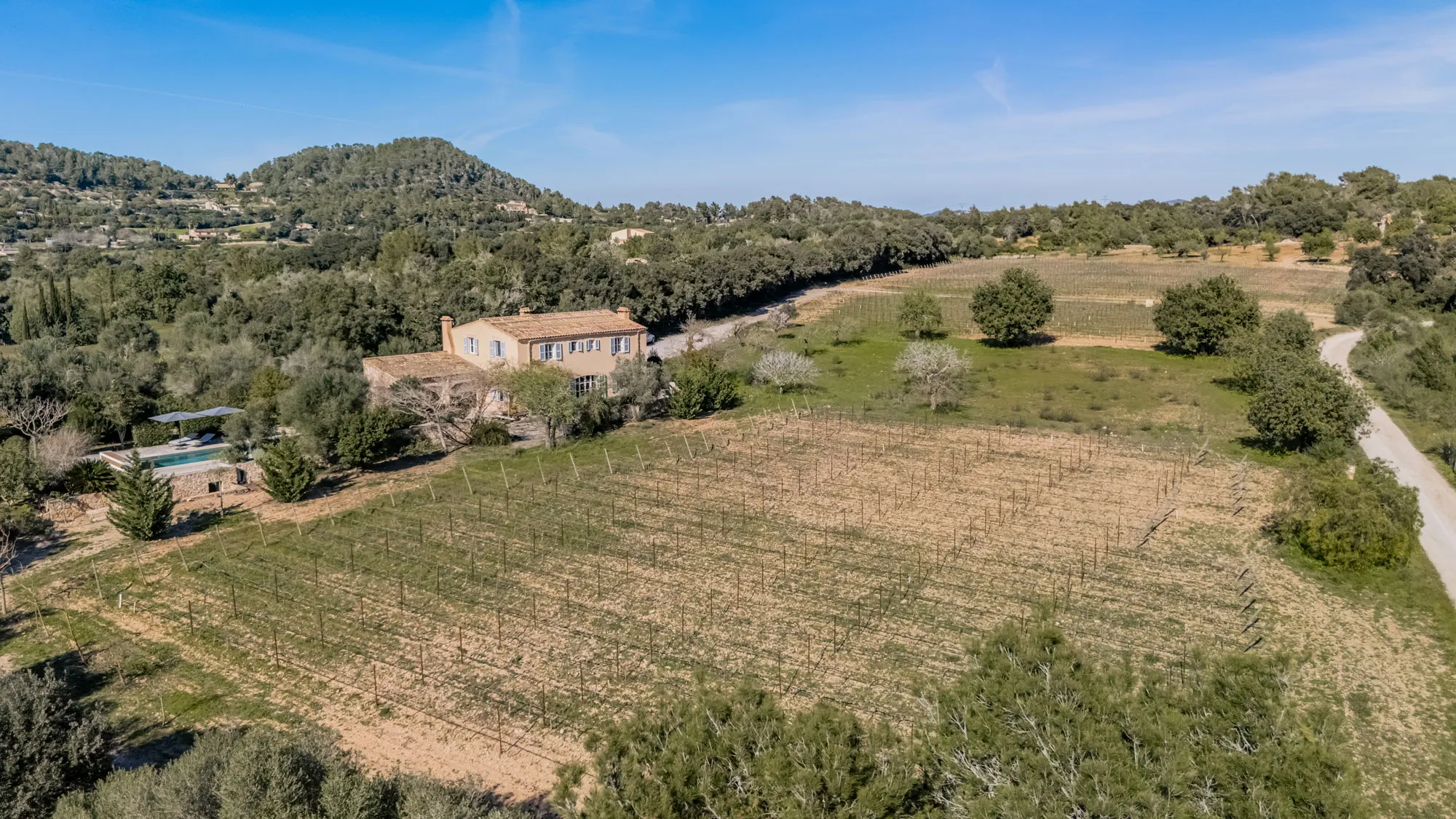 Finca mediterránea con viñedo, piscina y vistas al San Salvador-1