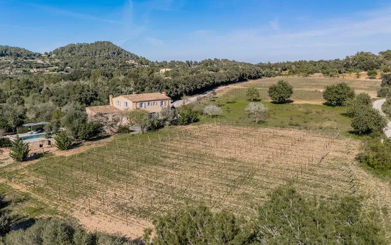 Mediterrane Finca mit Weinberg, Pool und Blick auf den San Salvador