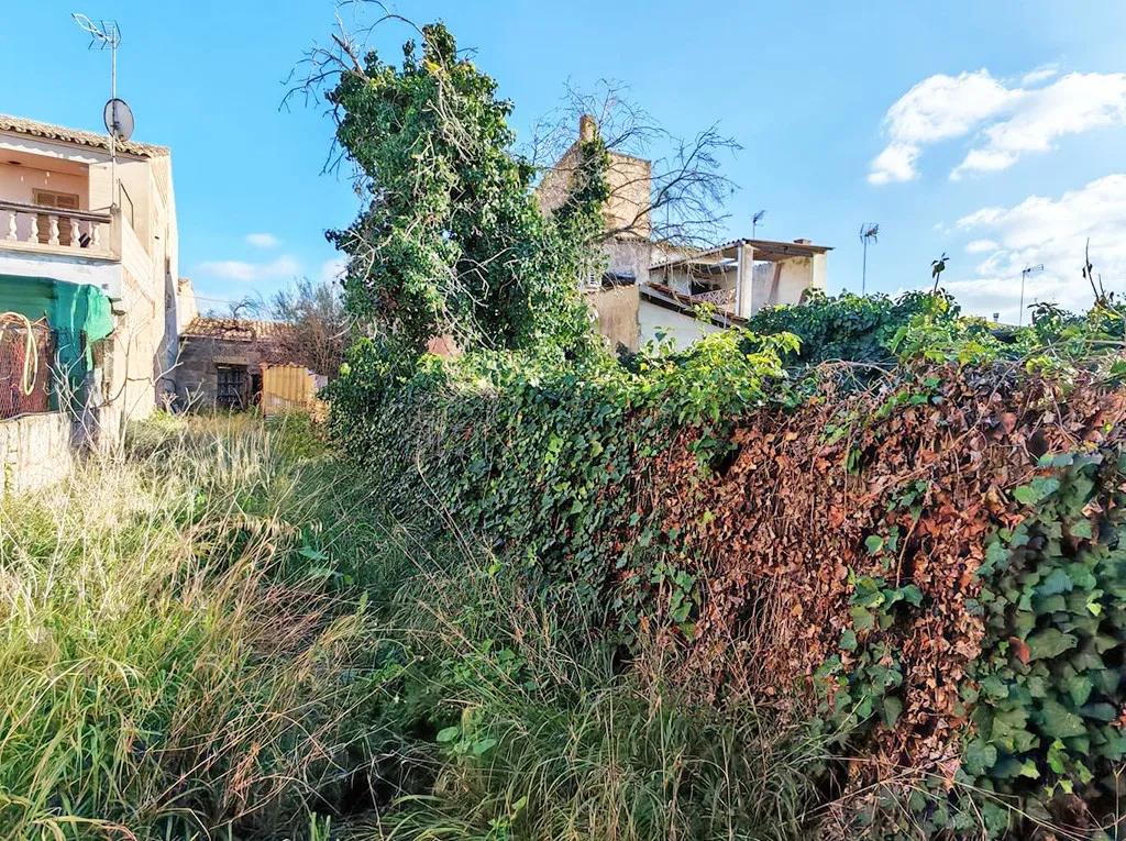 Städtisches Grundstück mit Blick in Llucmajor-2