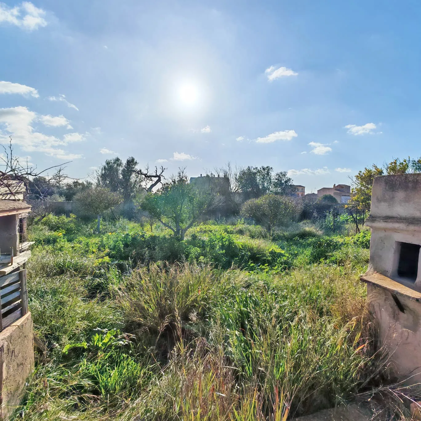 Städtisches Grundstück mit Blick in Llucmajor-1