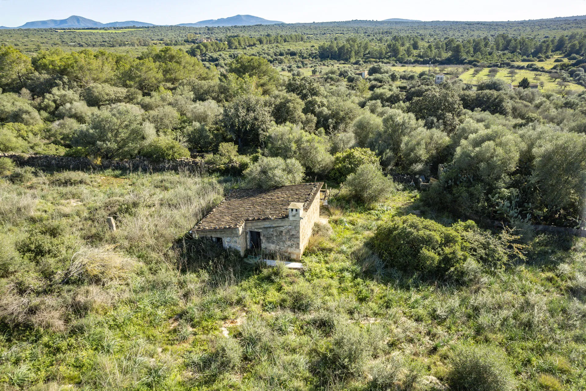 Bella proprietà in un ambiente tranquillo e naturale.-4
