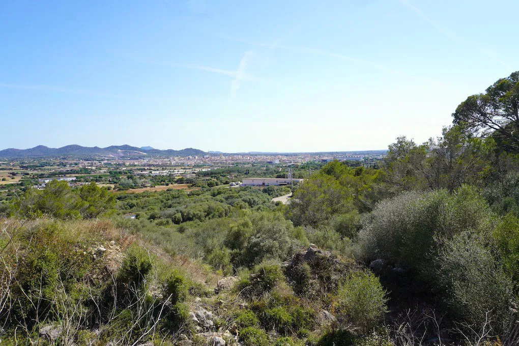 Parcel·la urbanitzada amb vistes panoràmiques-4