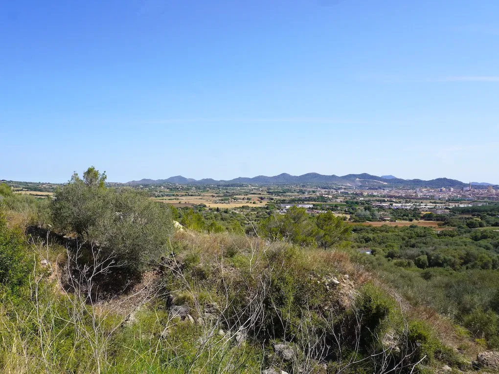 Parcel·la urbanitzada amb vistes panoràmiques-1
