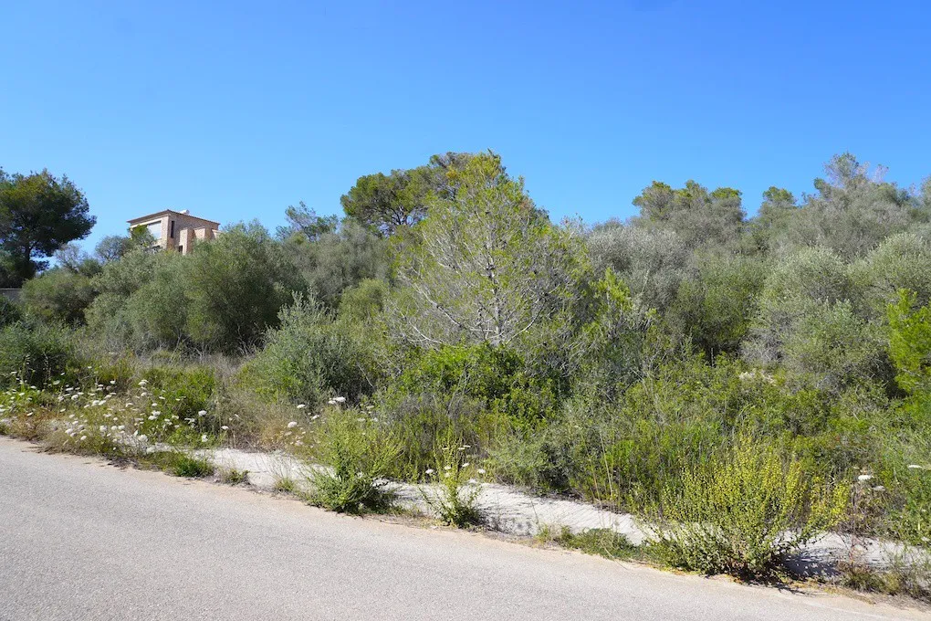 Developed building plot with panoramic views-2