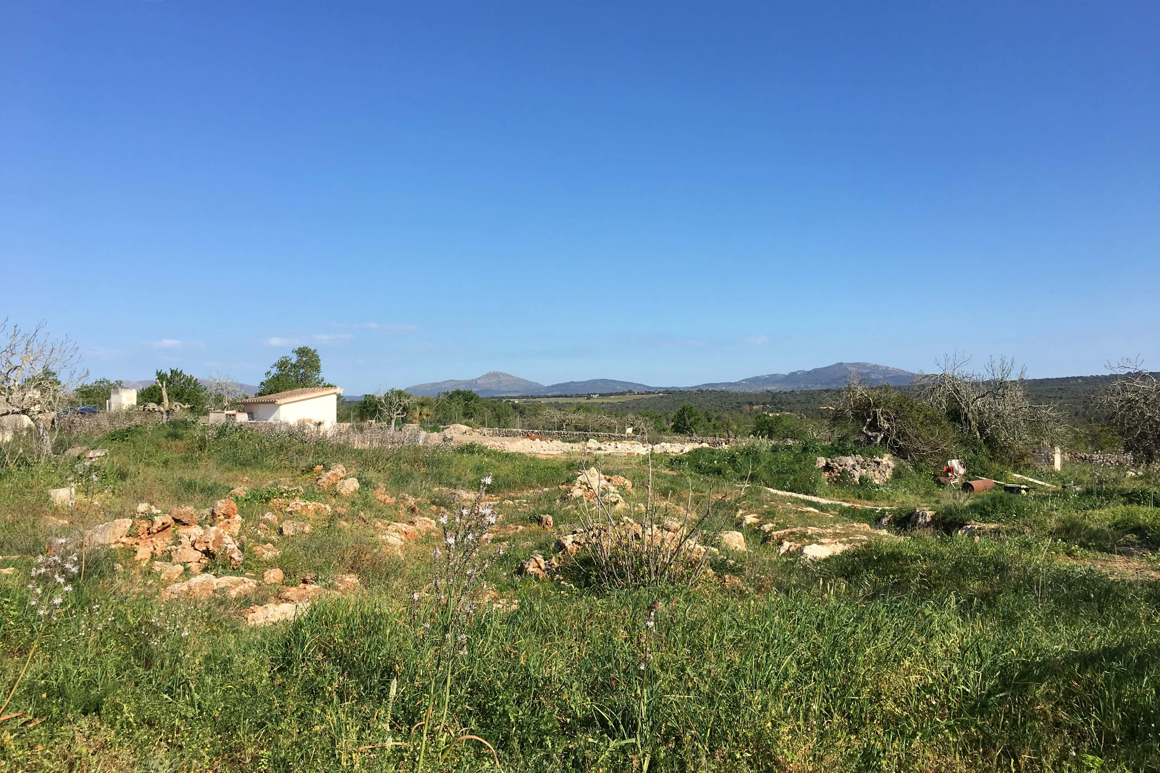Terrain de rêve avec vues panoramiques et permis de construire approuvé à Santa Margalida-11