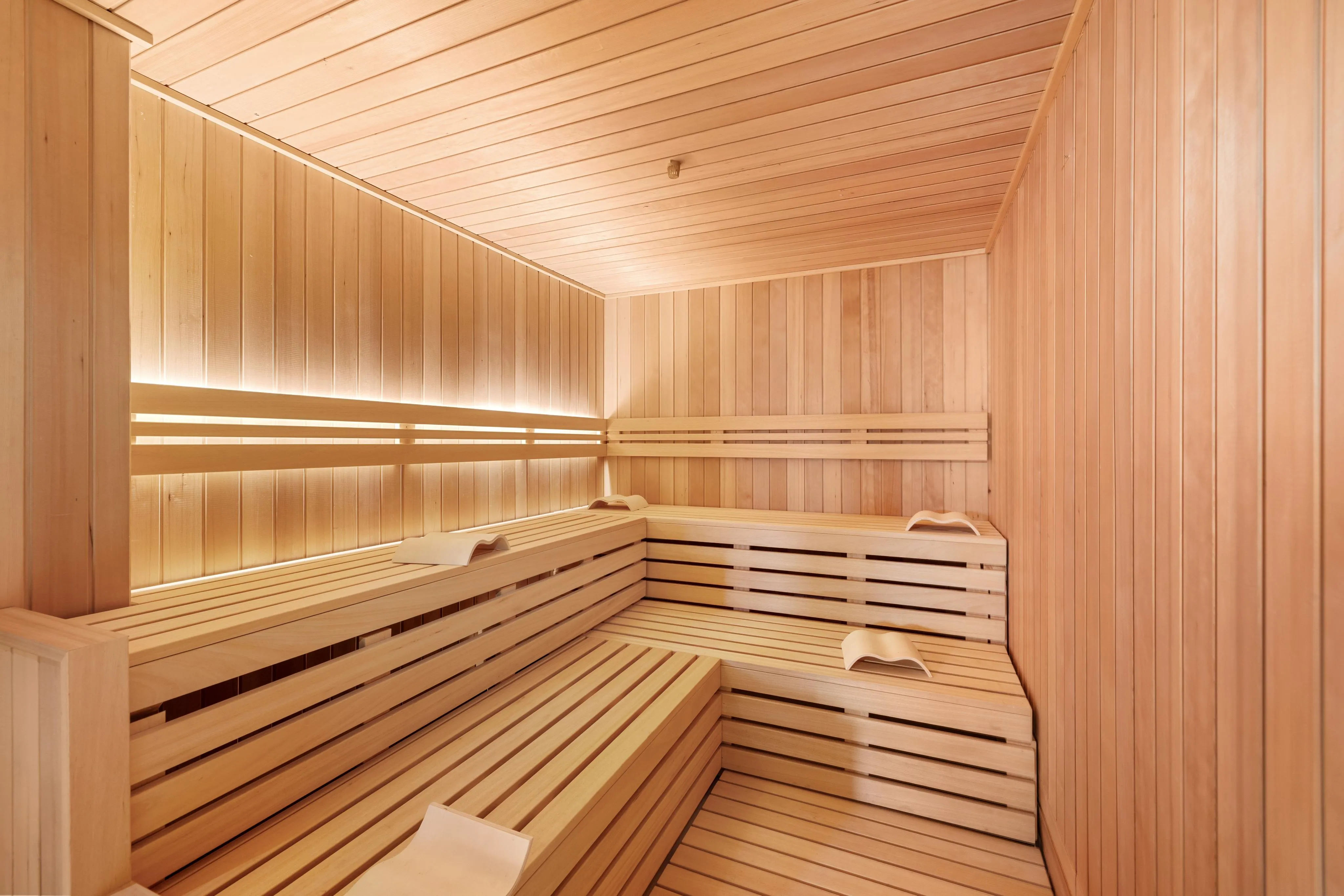 Cormorant Palma - Førsteklasses havelejlighed med havudsigt-13