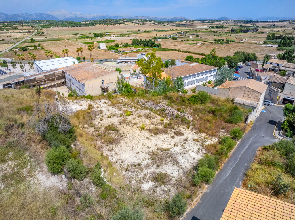 Geweldige investeringsmogelijkheid! Deelbaar perceel in Santa Margalida